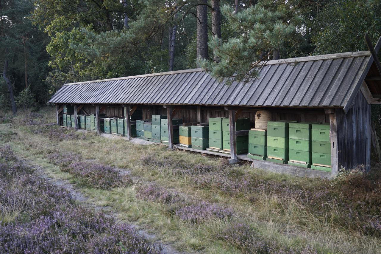 Ferienwohnungen / Ferienhaus Wahlers Bispingen Exterior photo