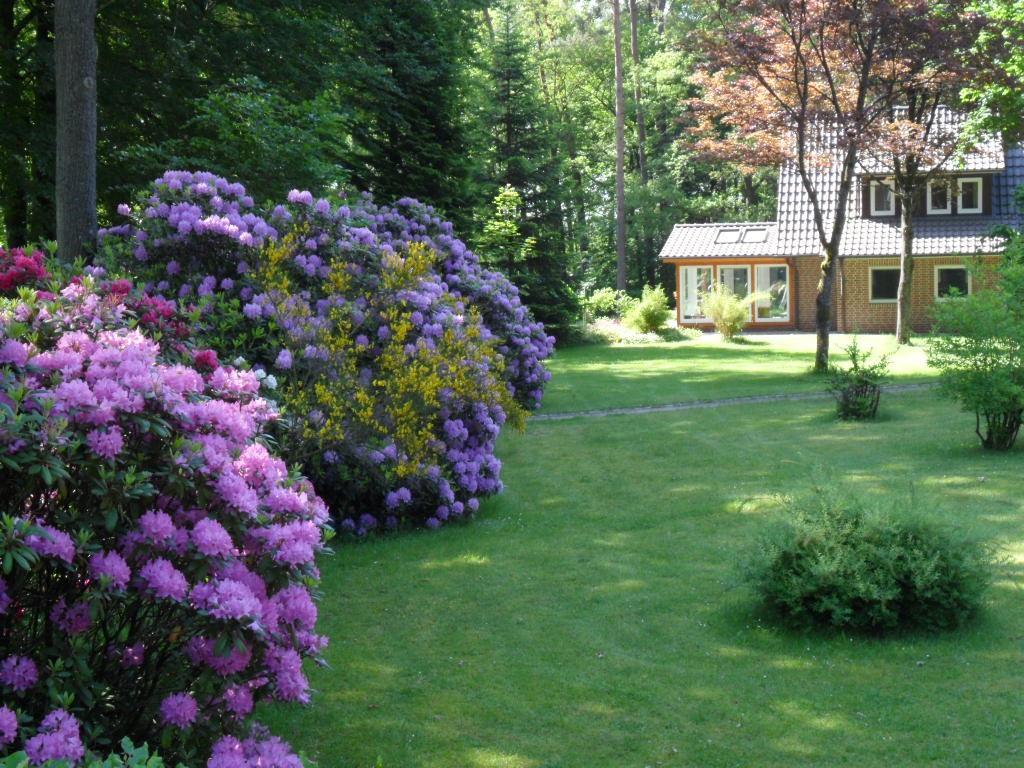 Ferienwohnungen / Ferienhaus Wahlers Bispingen Exterior photo
